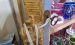 Vitrinenschrank WZ