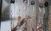 Modeschmuck